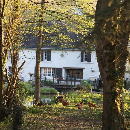 Fleurs De Brenne Gite Neuillé-le-Lierre Eksteriør billede
