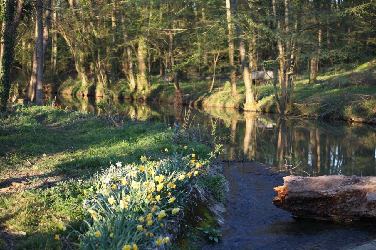 Fleurs De Brenne Gite Neuillé-le-Lierre Eksteriør billede