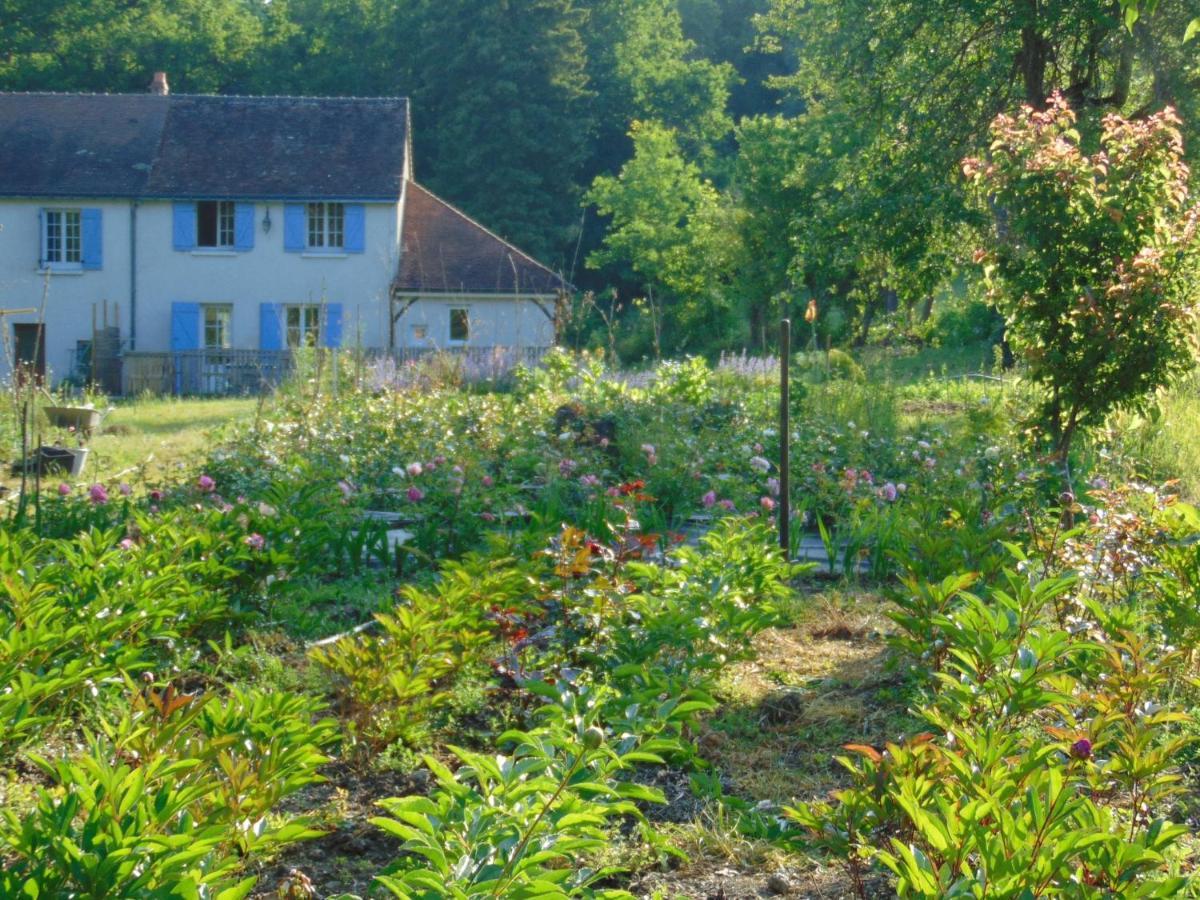 Fleurs De Brenne Gite Neuillé-le-Lierre Eksteriør billede